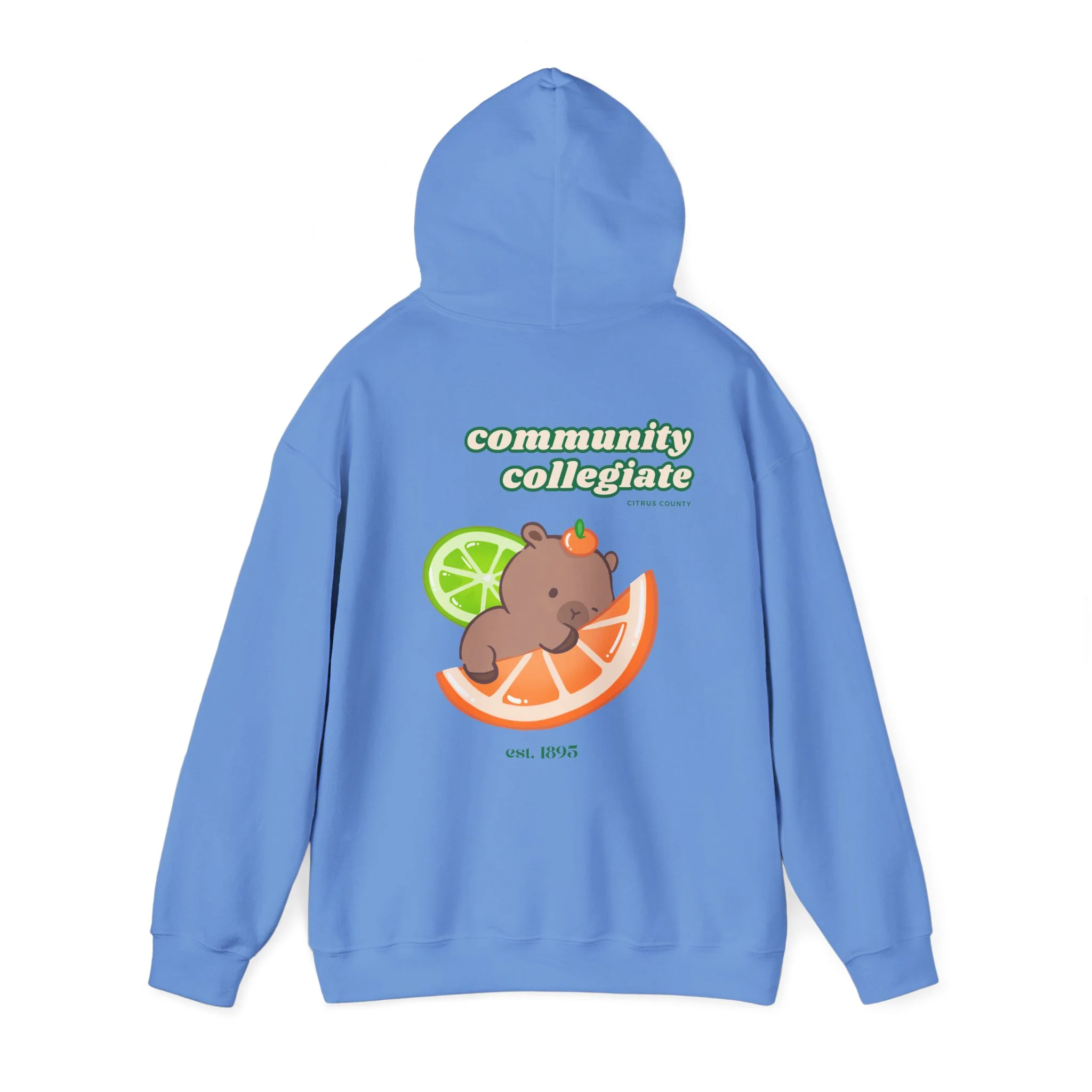 Citrus County Hoodie - Image 13