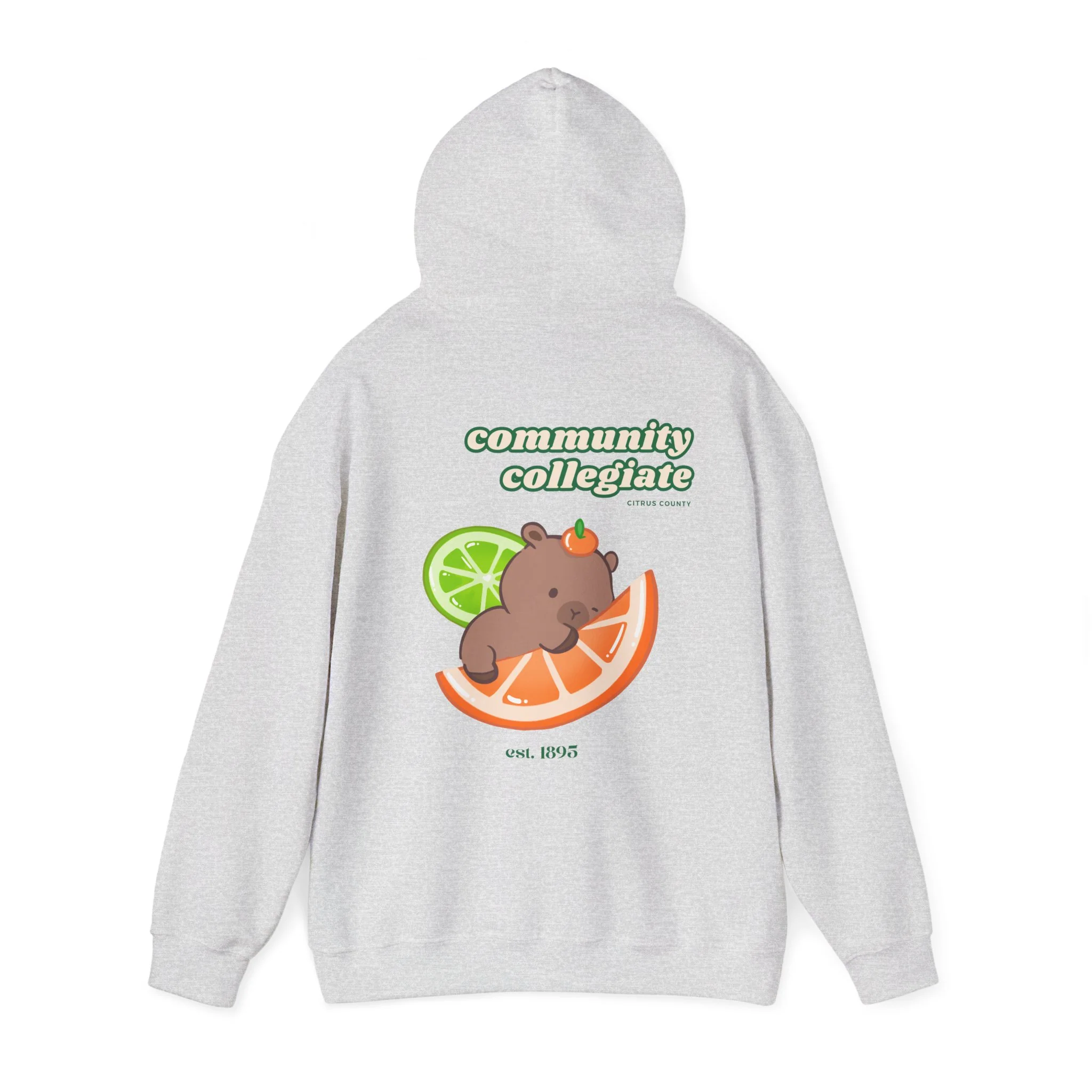 Citrus County Hoodie - Image 17