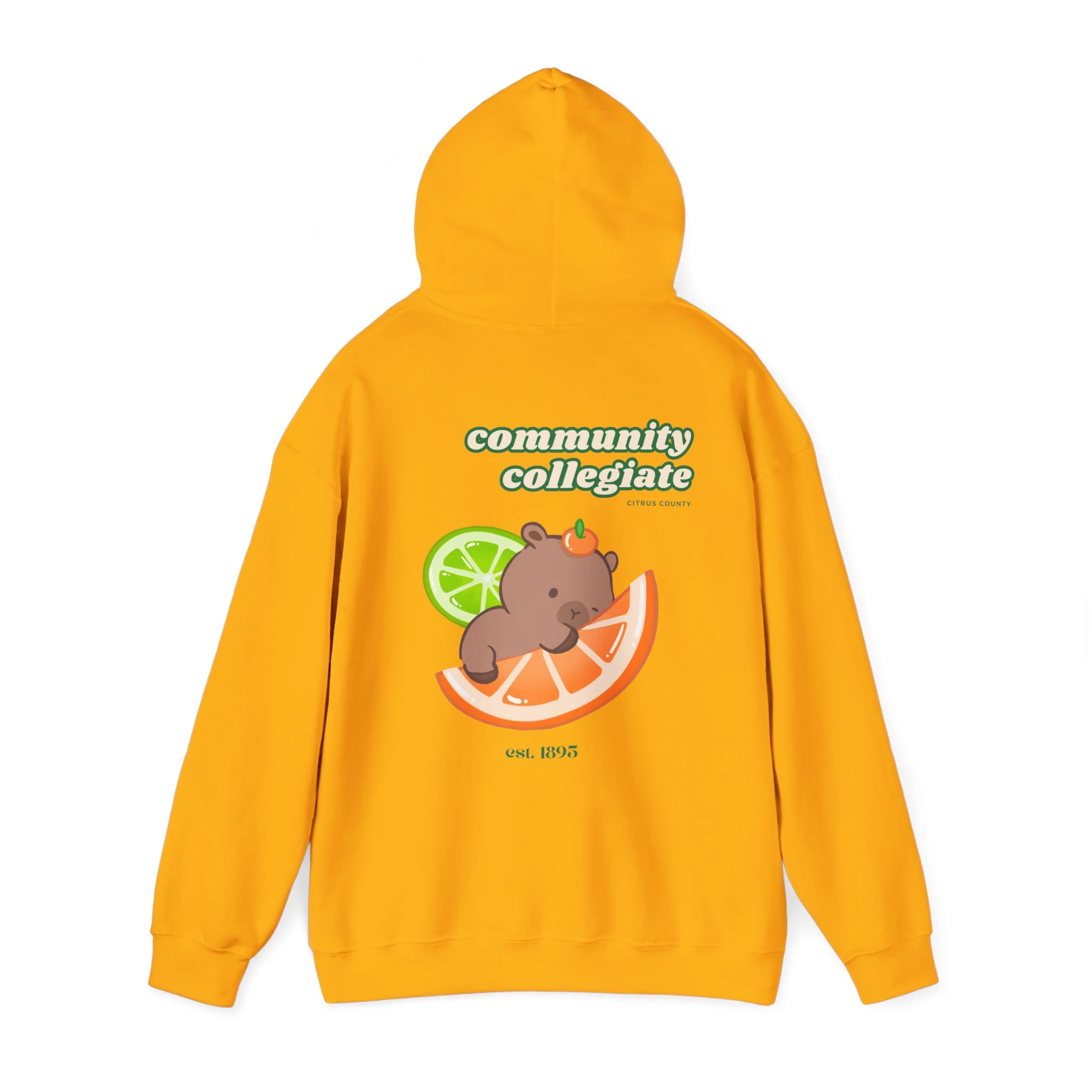 Citrus County Hoodie - Image 19
