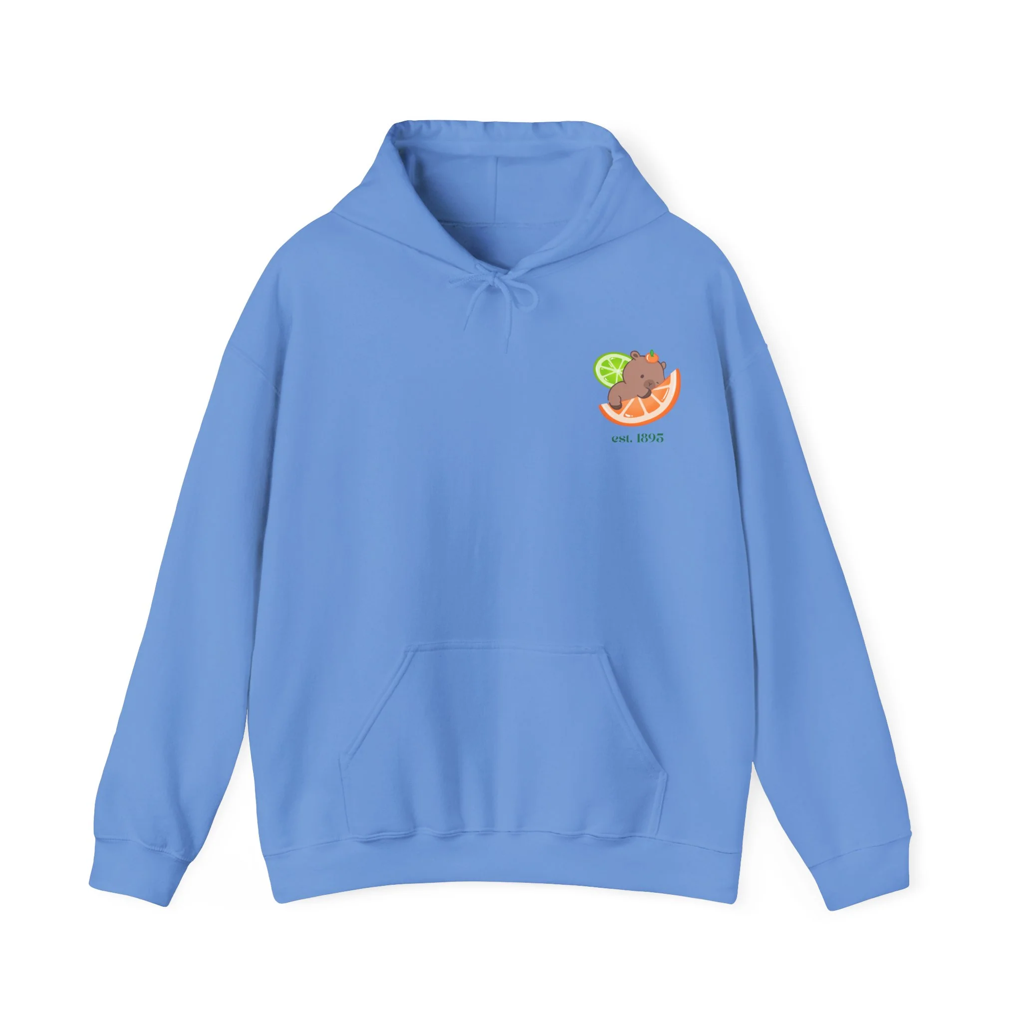 Citrus County Hoodie - Image 3