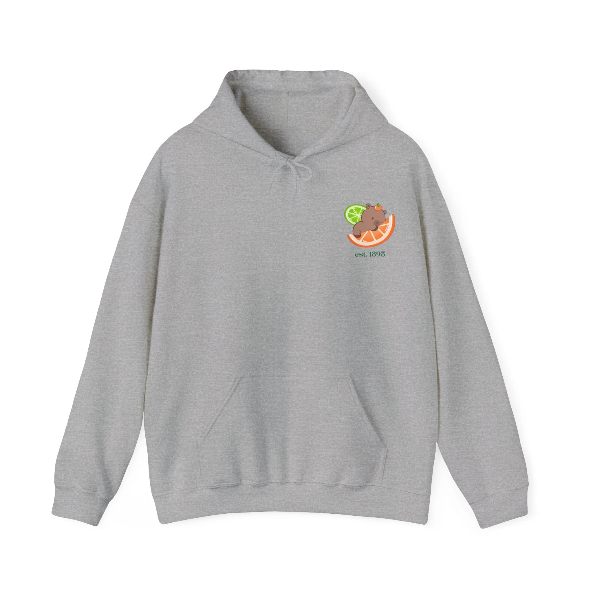 Citrus County Hoodie - Image 8